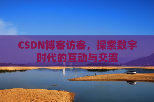 CSDN博客访客，探索数字时代的互动与交流